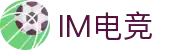 IM(股份有限公司)电竞-电子竞技平台